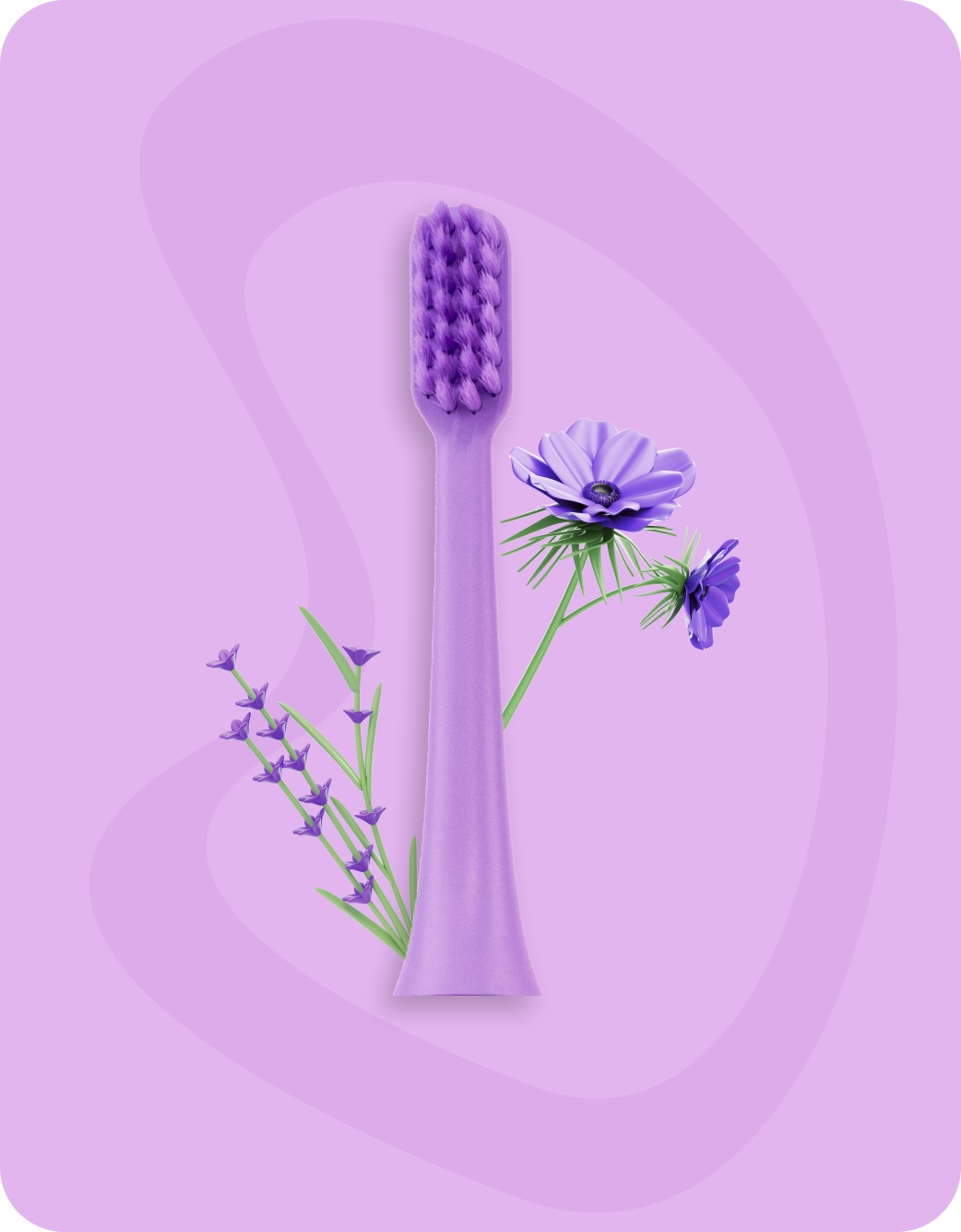 Toothbrush Head - Purple